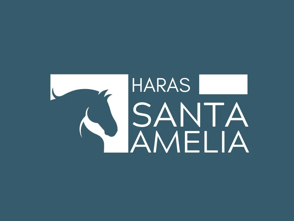 Haras Santa Amelia