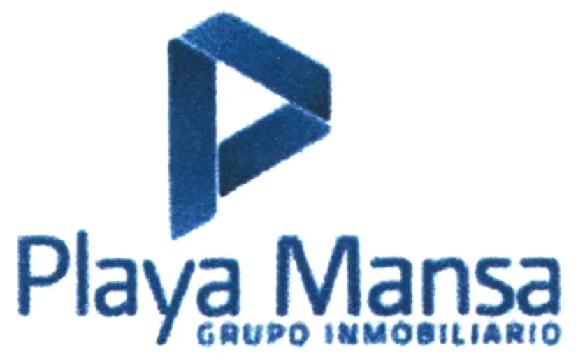P PLAYA MANSA GRUPO INMOBILIARIO