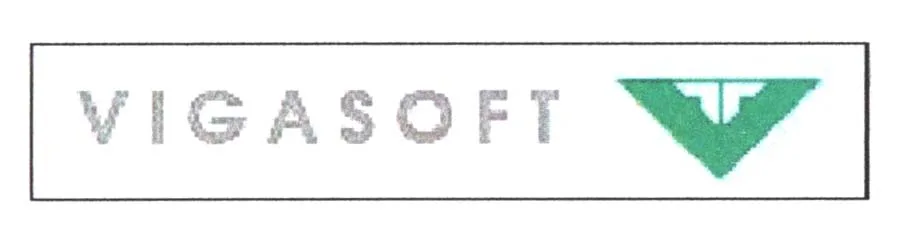 VIGASOFT