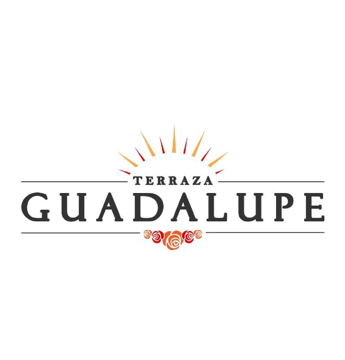 TERRAZA GUADALUPE