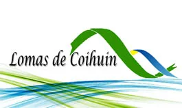 LOMAS DE COIHUIN