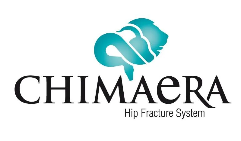 CHIMAeRA Hip Fracture System