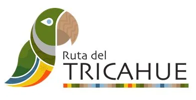 RUTA DEL TRICAHUE