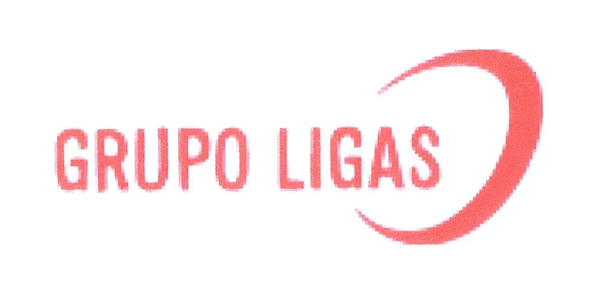 GRUPO LIGAS