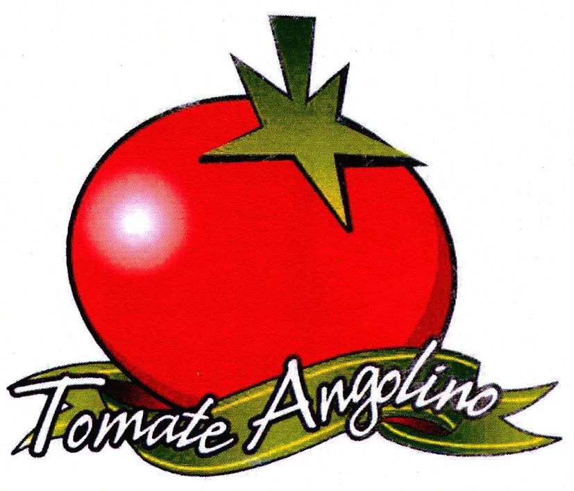 TOMATE ANGOLINO