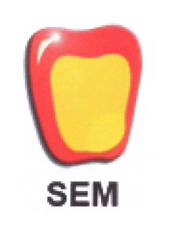 SEM