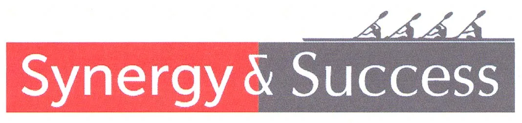SYNERGY & SUCCESS