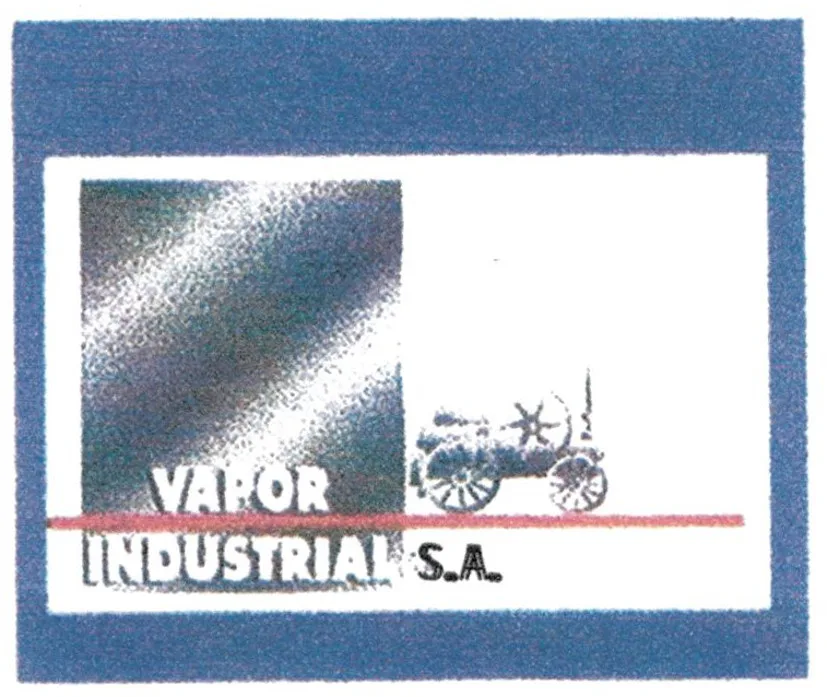 VAPOR INDUSTRIAL S.A.