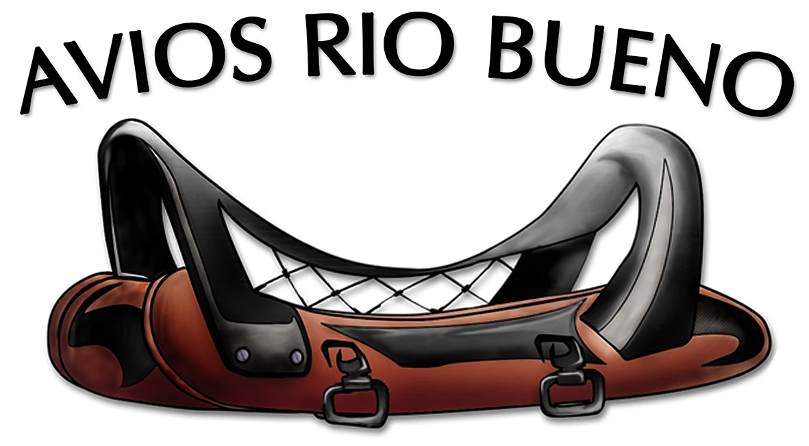 AVIOS RIO BUENO