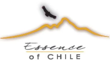 ESSENCE OF CHILE