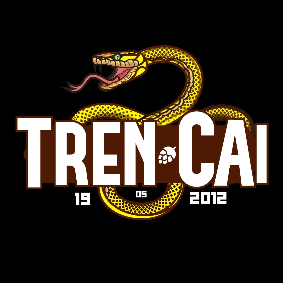 TREN-CAI 19 05 2012