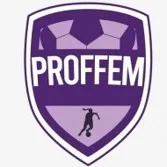 PROFFEM