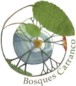 BOSQUES CARRANCO