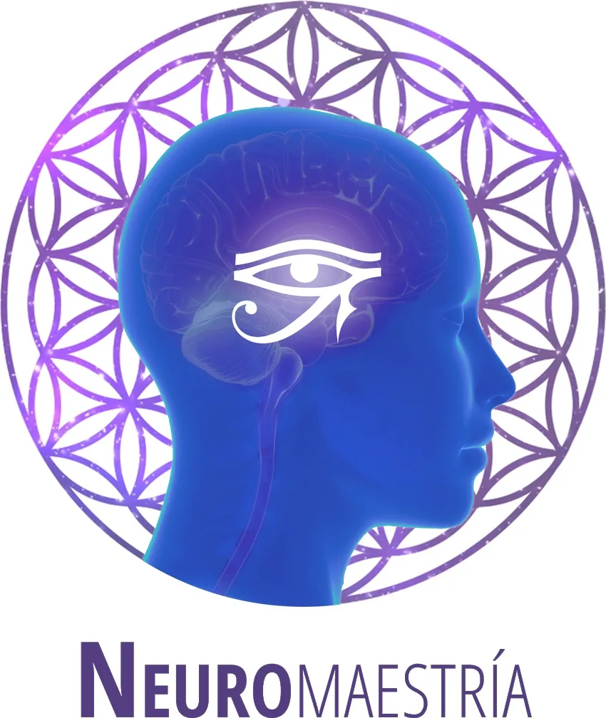 NEUROMAESTRIA