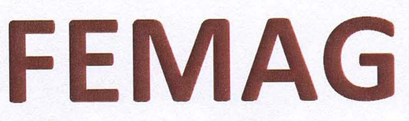 FEMAG
