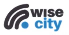 WISE CITY