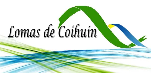 LOMAS DE COIHUIN