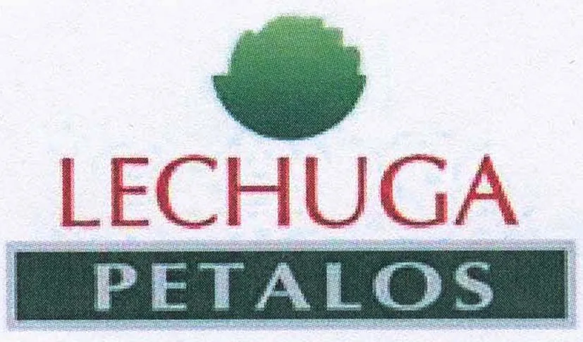 LECHUGA PETALOS