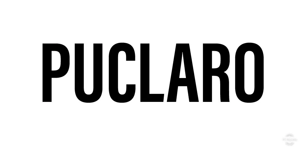 Puclaro