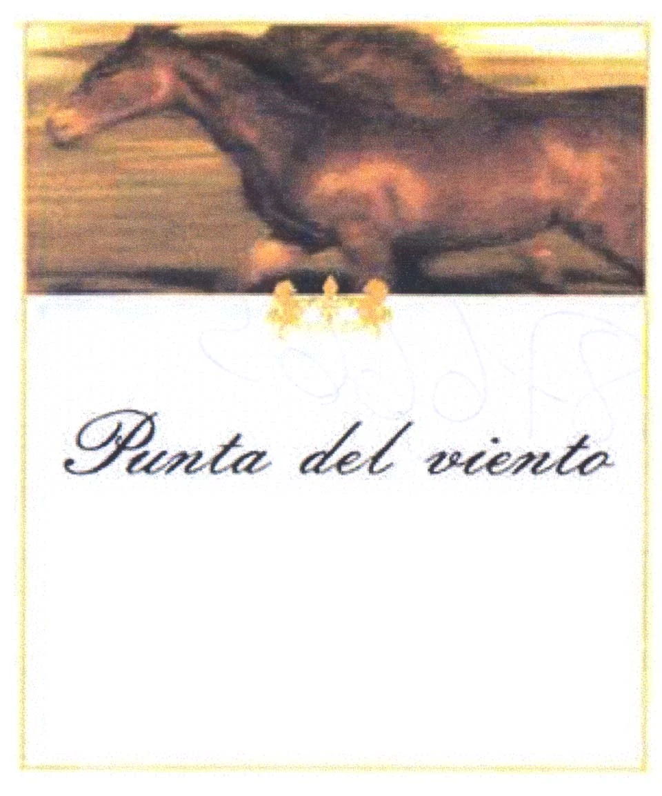PUNTA DEL VIENTO