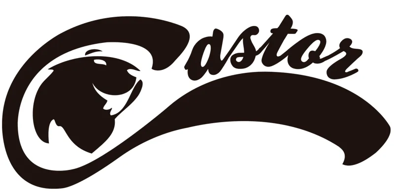 CASTOR
