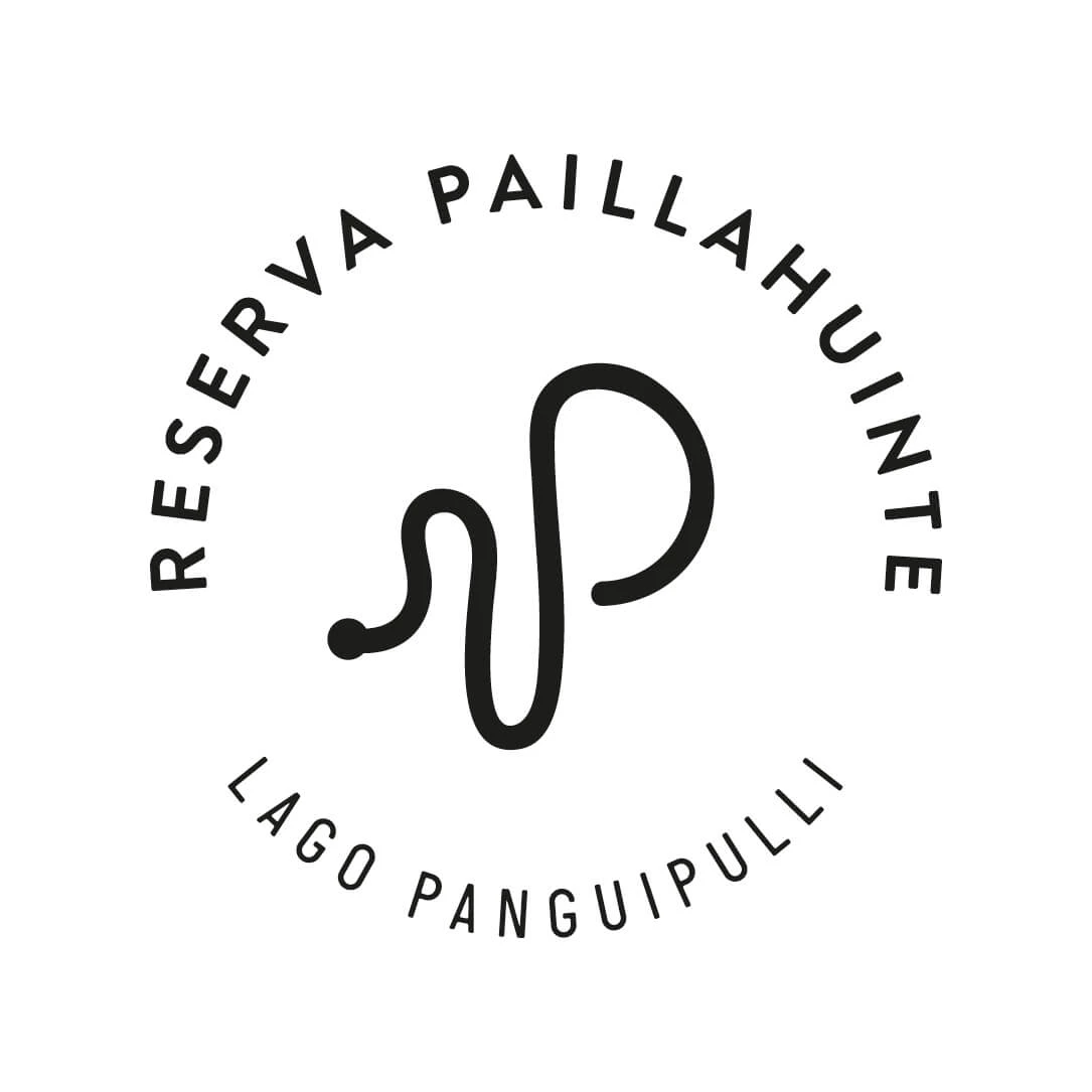 RESERVA PAILLAHUINTE LAGO PANGUIPULLI
