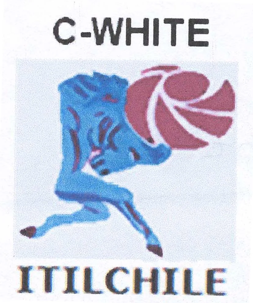 C-WHITE ITILCHILE