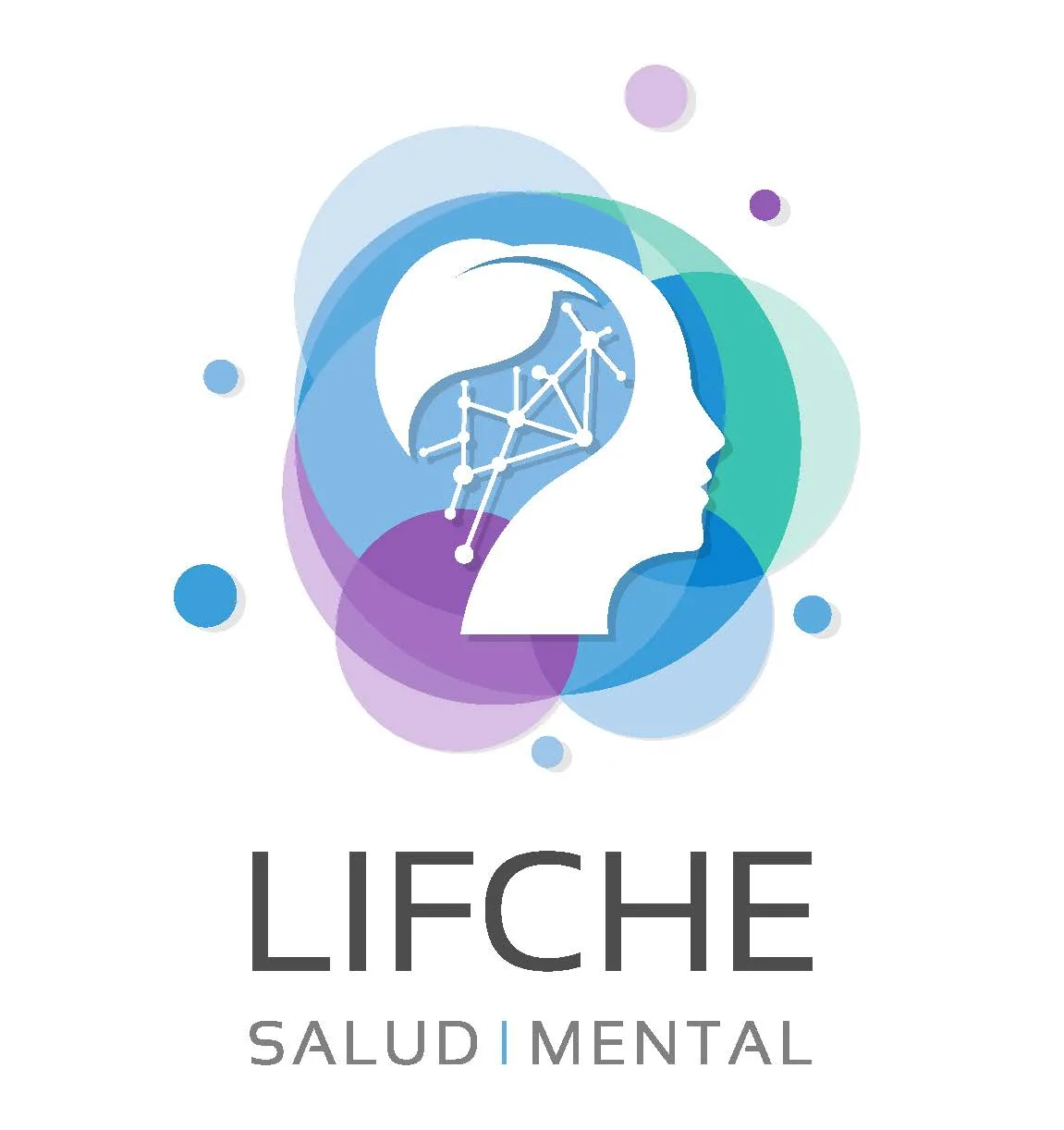 Lifche Salud Mental