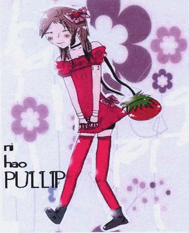 NI HAO PULLIP