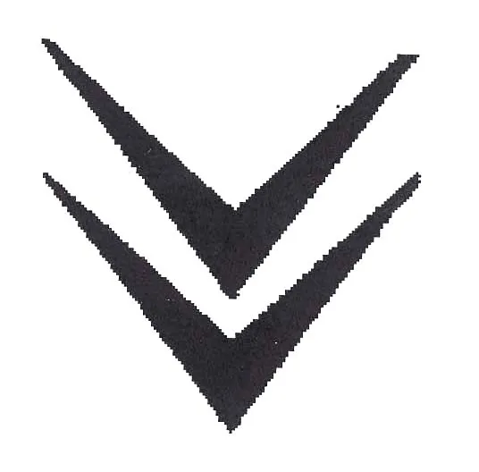Acta 896274