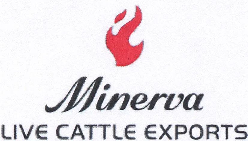 MINERVA LIVE CATTLE EXPORTS