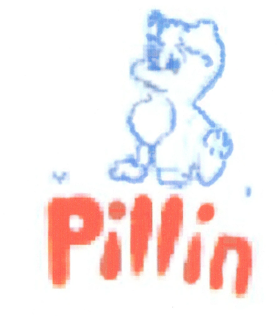 PILLIN