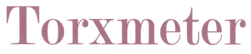 Torxmeter