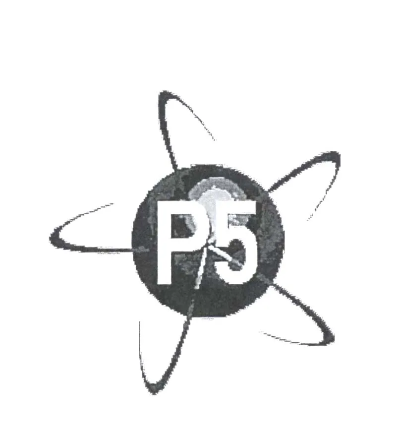 P 5