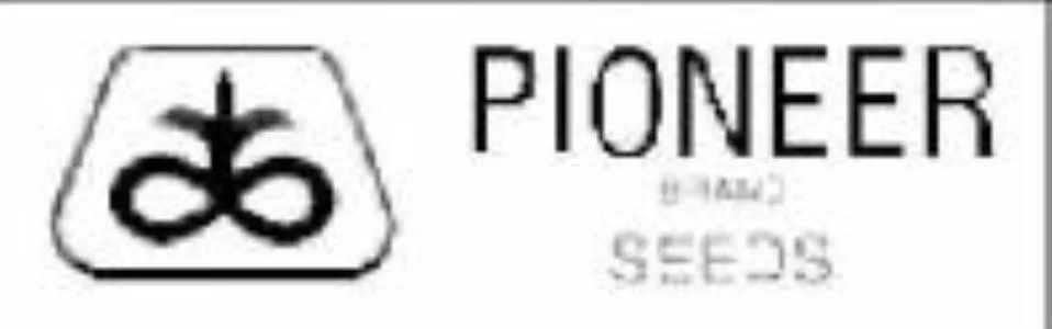PIONEER