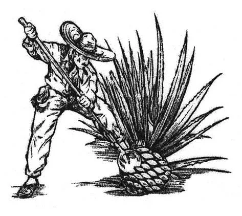 JIMADOR