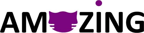 AM ZING