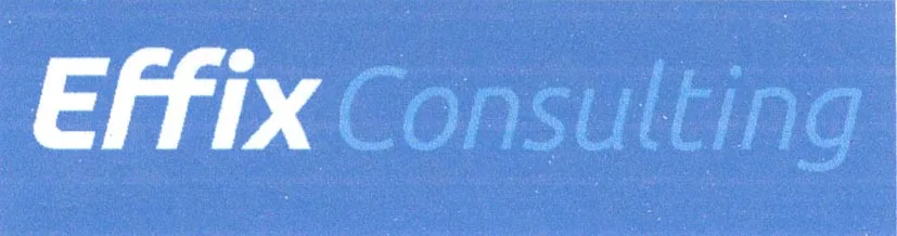 EFFIX CONSULTING