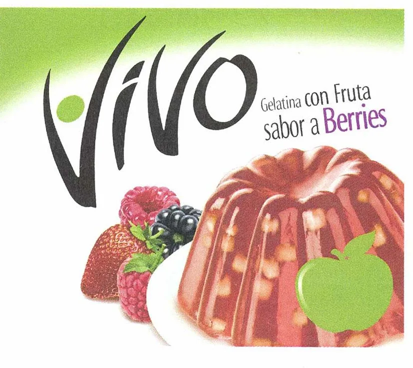 VIVO GELATINA CON FRUTA SABOR A BERRIES