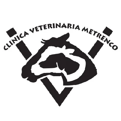 CLINICA VETERINARIA METRENCO V