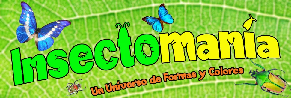insectomania