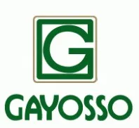 G GAYOSSO