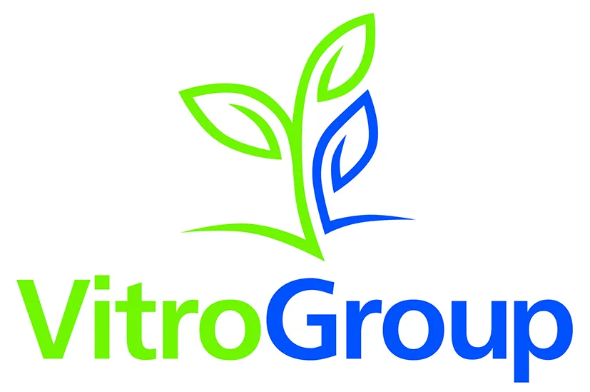 VITROGROUP