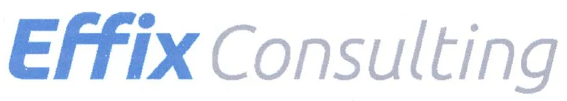EFFIX CONSULTING