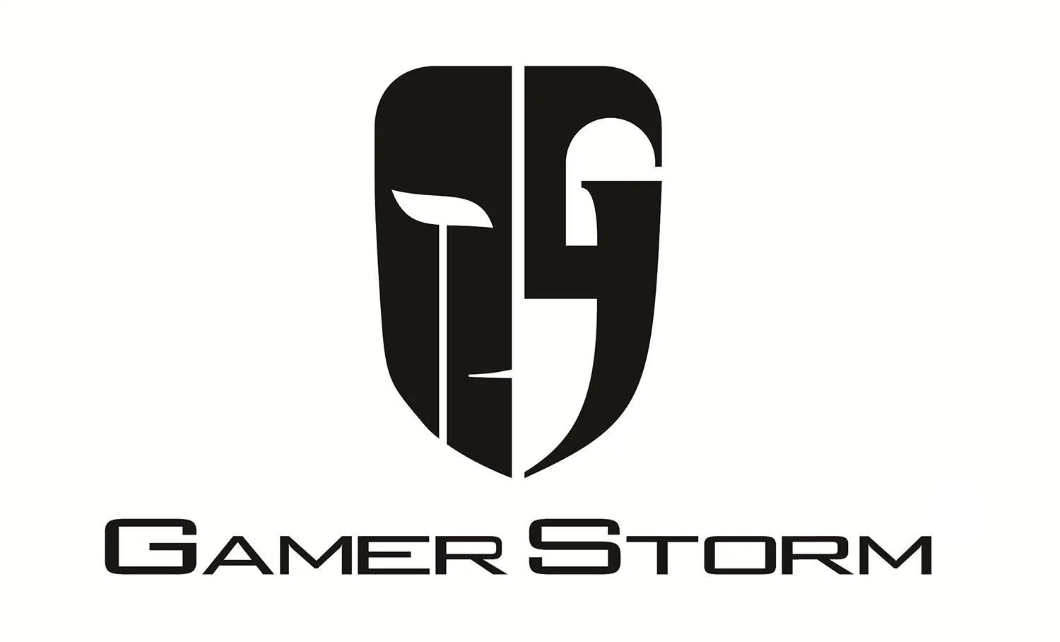 GAMER STORM