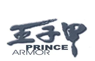 PRINCE ARMOR
