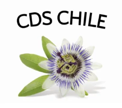 CDS CHILE