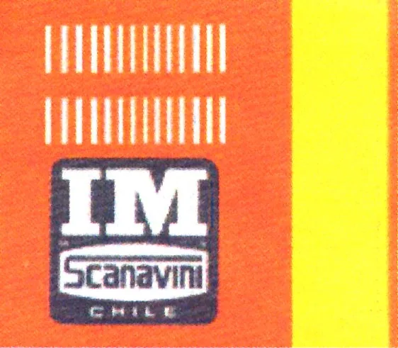 IM SCANAVINI