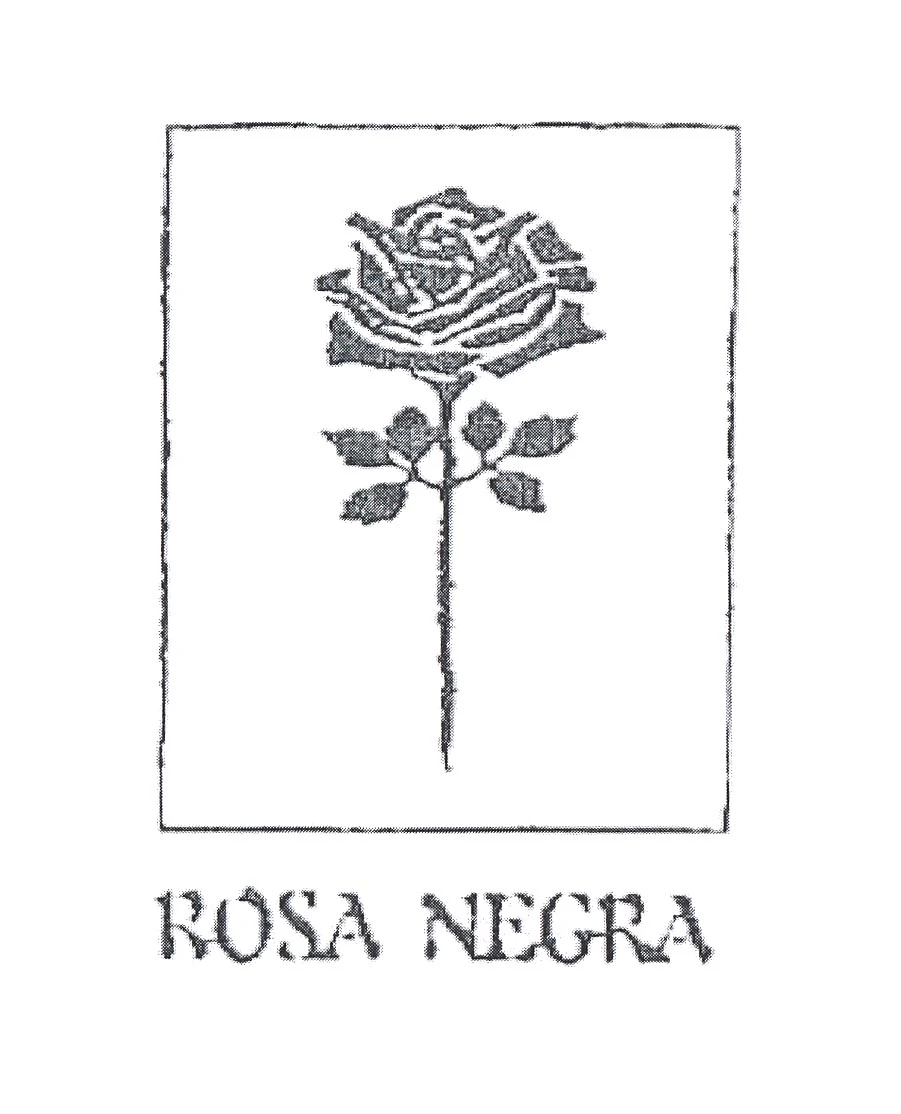 ROSA NEGRA