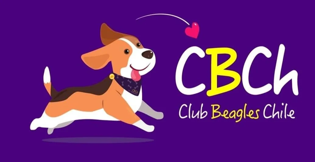 CBCh Club Beagles Chile